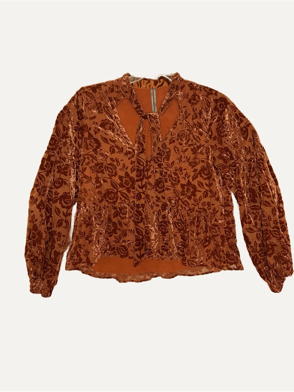 Anthropologie Velvet Burnout Tie-Neck Blouse Floral Rust Peplum
